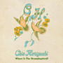 CHIE HORIGUCHI / Where Is The Hummingbird�H( 7inch )